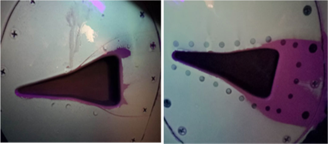 圖2 顯色涂層顯色情況（左翼、右翼）